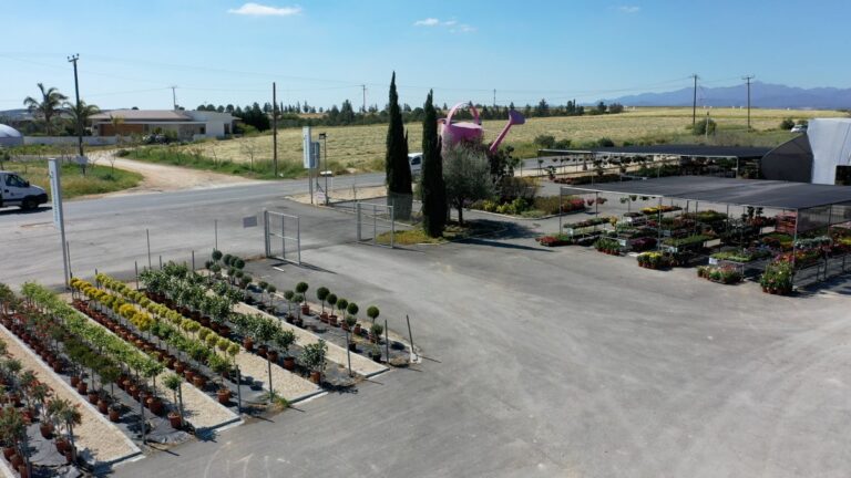 gardenWorld_01