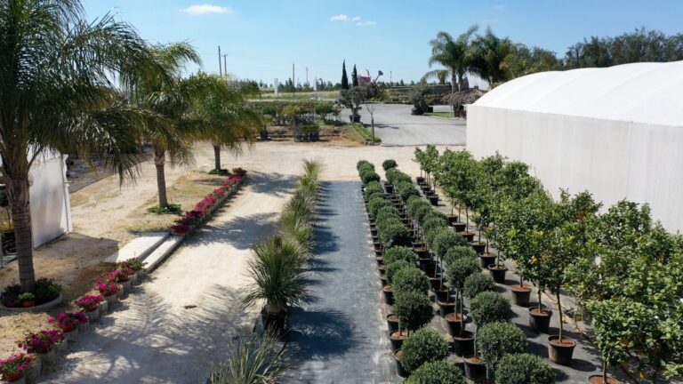 gardenWorld_02
