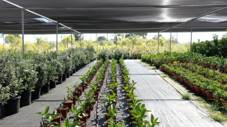gardenWorld_03