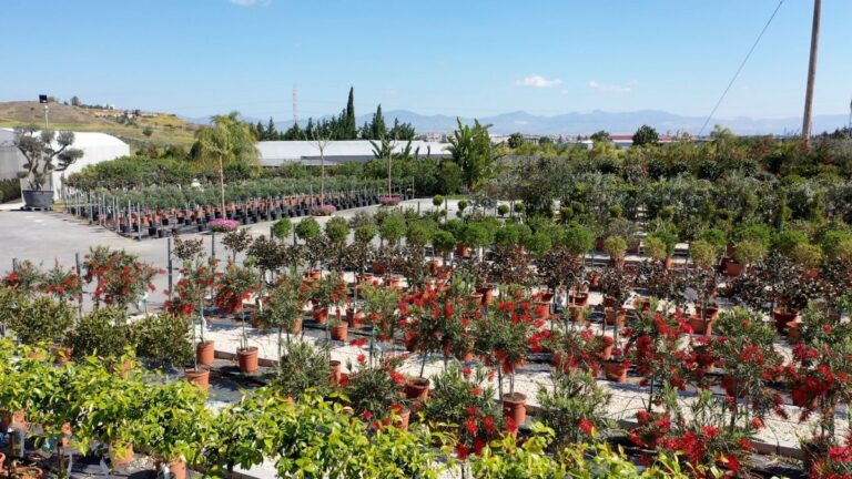 gardenWorld_04