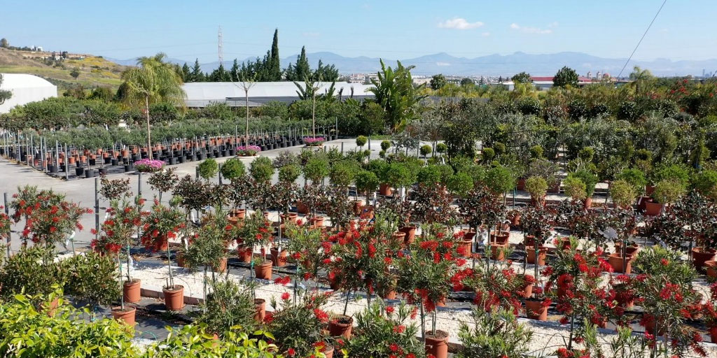 GardenWorld